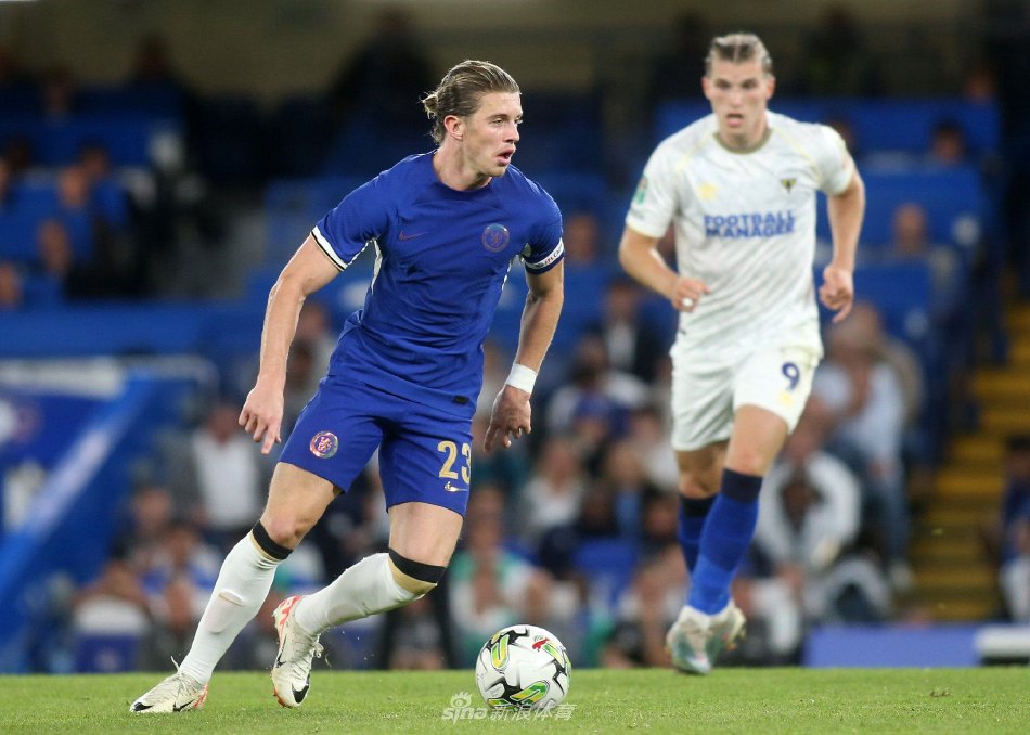 极有可能受 极有可能受